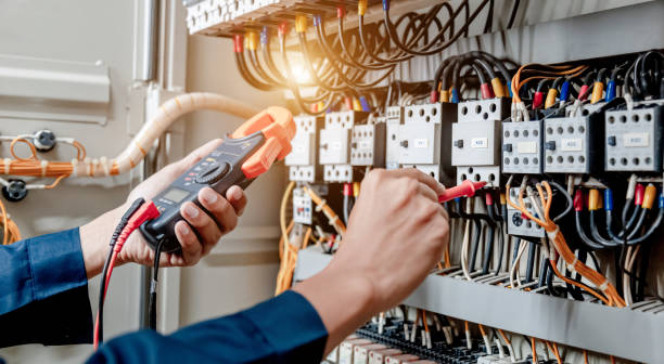 Best Electrical System Inspection  in Tremont, IL